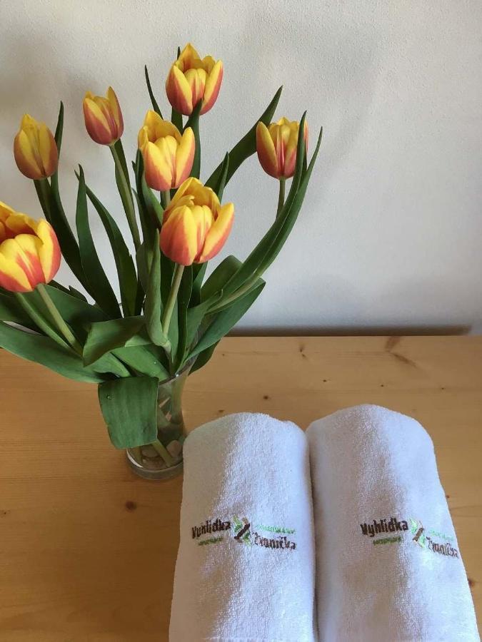 Horsky Apartman Vyhlidka Rejviz Zlaté Hory Zewnętrze zdjęcie